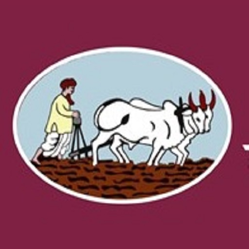 DMK Jaoli Bank